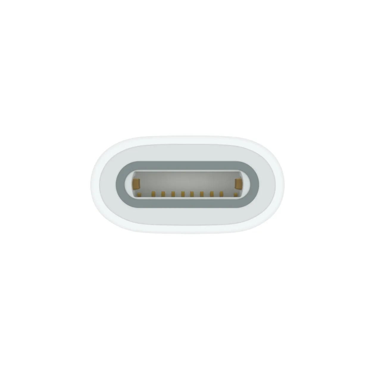 Apple USB-C naar Pencil Adapter Wit