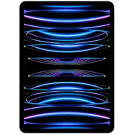 Apple iPad Pro 11 (2022) 1TB WiFi Zilver