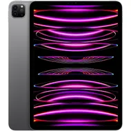 Apple iPad Pro 11 (2022) 1TB WiFi Spacegrijs