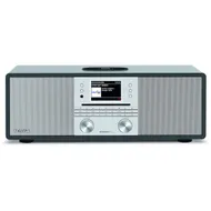 TechniSat Digitradio 650 Antraciet/zilver