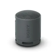 Sony SRS-XB100 Zwart