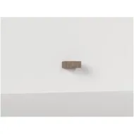 Wastoren WSCH 26-60-E Eiken