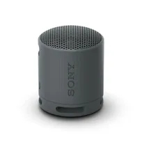Sony SRS-XB100 Zwart
