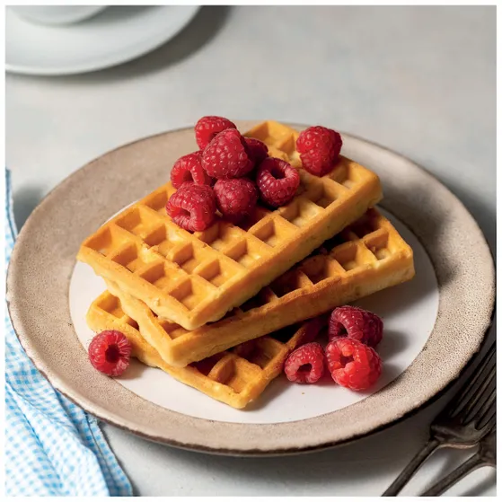 Fritel Bakplaten wafels 4x7