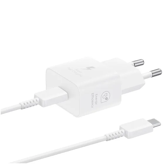 Samsung 25W Power Adapter Wit