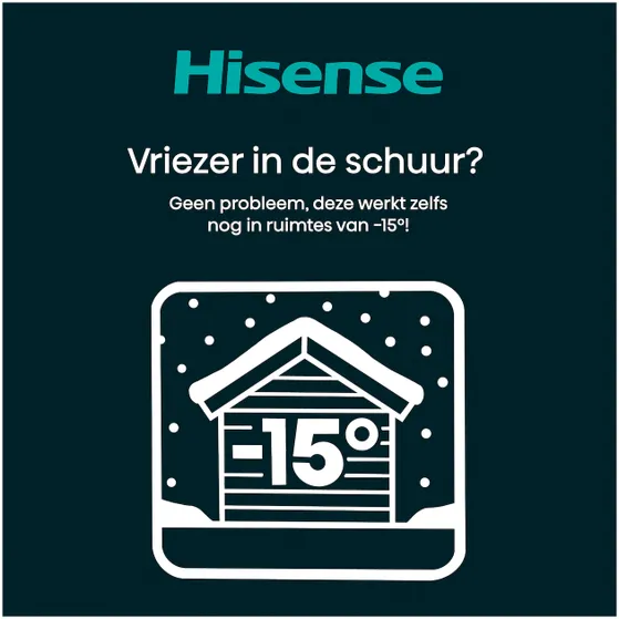 Hisense FT5K310GSFC Zwart