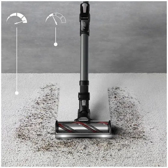 Rowenta X-Force Flex 14.80 RH9BC1