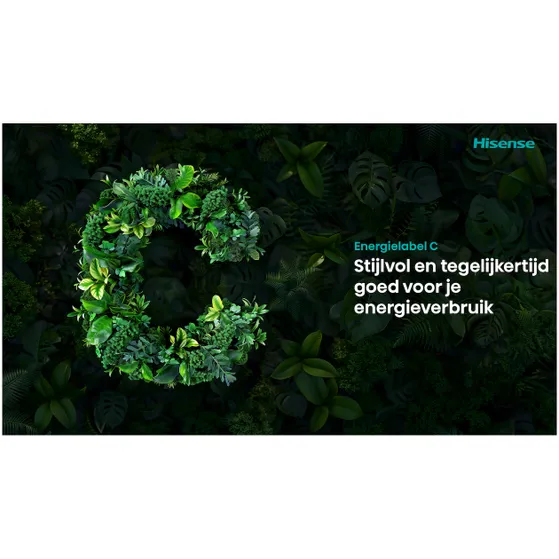 Hisense RB5K330GSFC Zwart