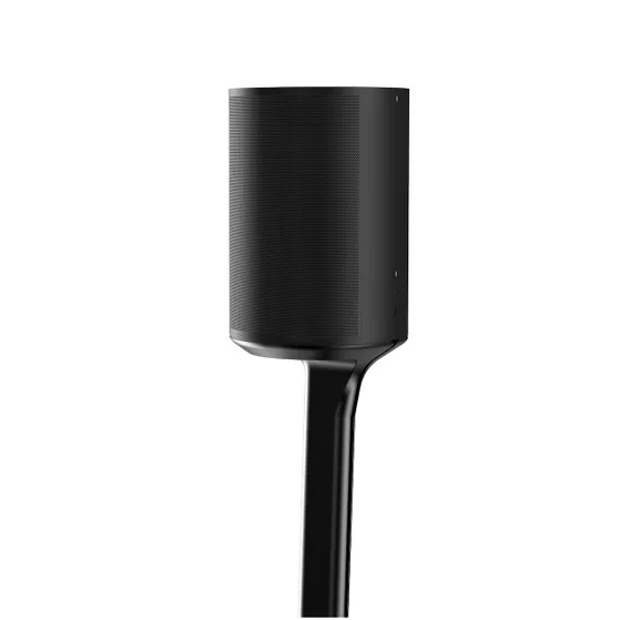 Flexson FLXE100FS1021EU SONOS ERA 100 STANDAARD Zwart