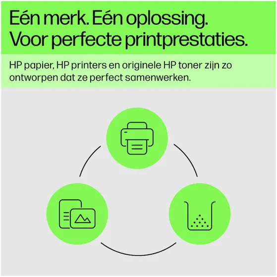 HP 219X Toner (Hoge Capaciteit) Cyaan