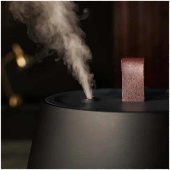 Duux Tag Ultrasonic Gen2 Zwart