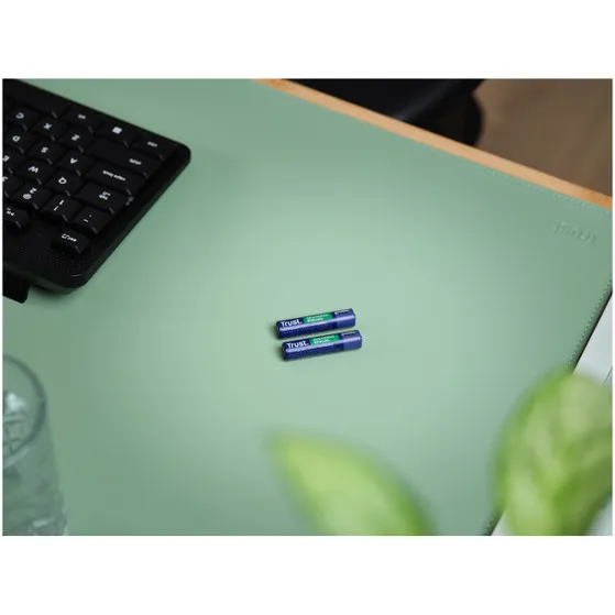 Trust Via USB-C oplaadbare AAA-batterijen (2 stuks)