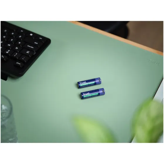 Trust Via USB-C oplaadbare AA-batterijen (2 stuks)