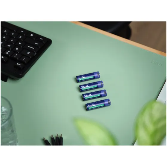 Trust Via USB-C oplaadbare AA-batterijen (4 stuks)