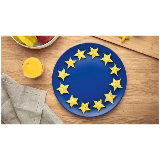 Bosch MMB6172B Zwart