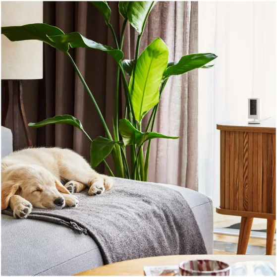 Ring Indoor Cam (2nd Gen) EU Wit