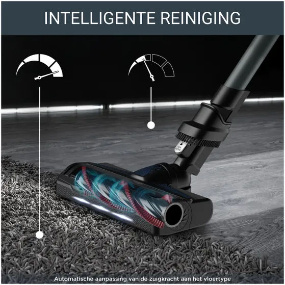 Rowenta RH20C7  X-Force Flex 9.60 - Animal Care + Aqua