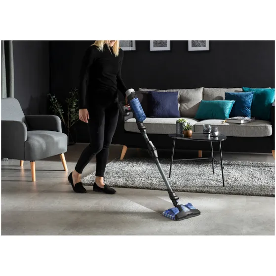 Rowenta RH20C7  X-Force Flex 9.60 - Animal Care + Aqua