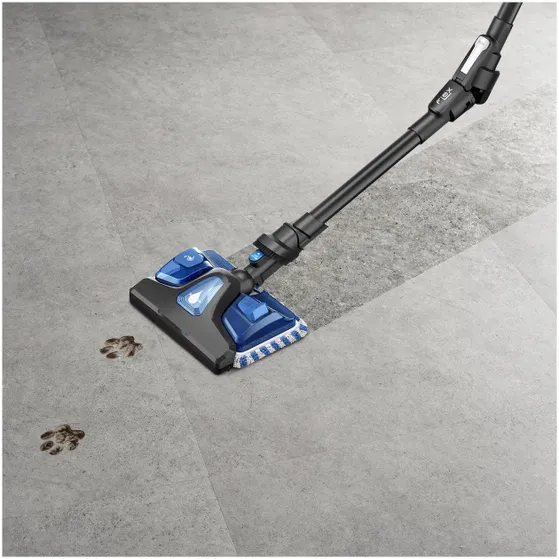 Rowenta RH20C7  X-Force Flex 9.60 - Animal Care + Aqua