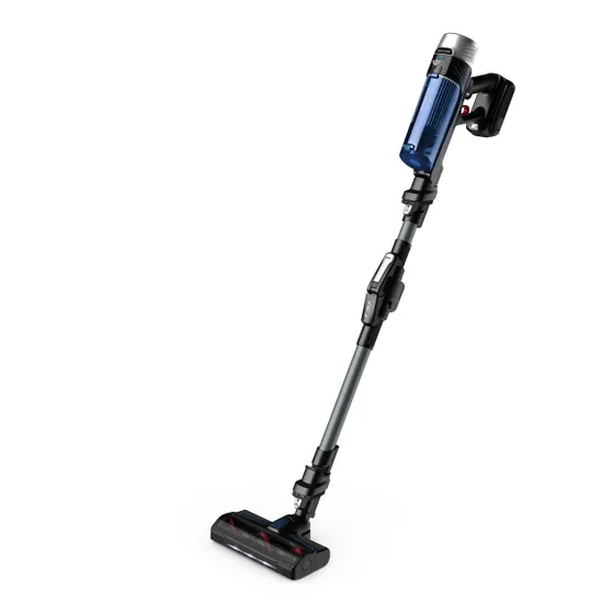 Rowenta RH20C7  X-Force Flex 9.60 - Animal Care + Aqua