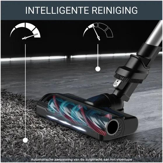 Rowenta RH20CO  X-Force Flex 9.60 - Allergy + Aqua