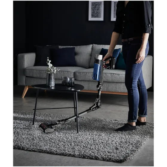 Rowenta RH20CO  X-Force Flex 9.60 - Allergy + Aqua