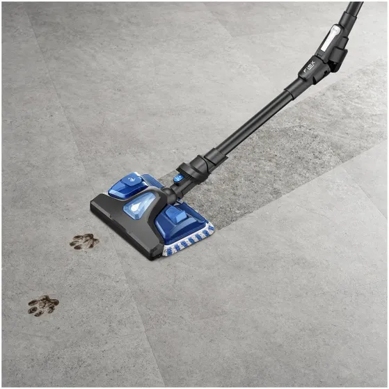 Rowenta RH20CO  X-Force Flex 9.60 - Allergy + Aqua