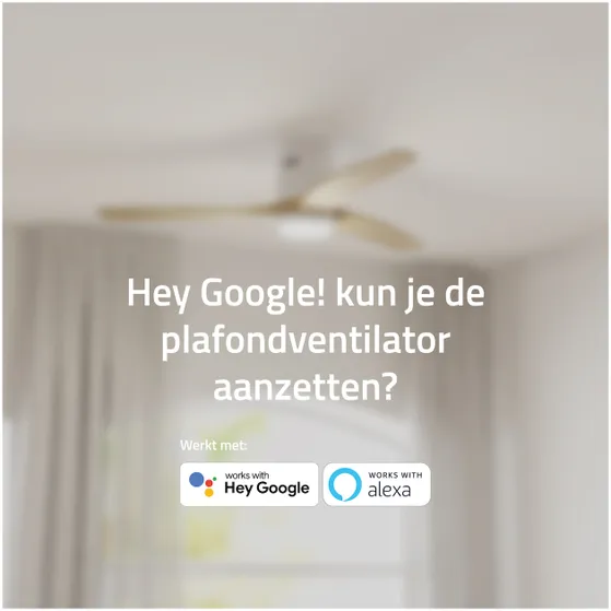 Hombli Smart Ceiling Fan & Light - White & Light Wood