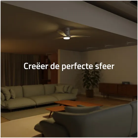 Hombli Smart Ceiling Fan & Light - White & White Wood