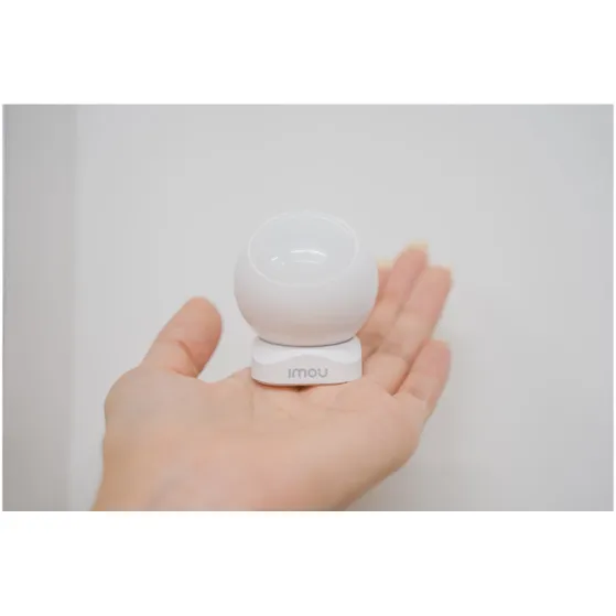 Imou ZP1 (motion detection)