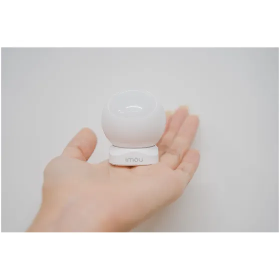 Imou ZP1 (motion detection)