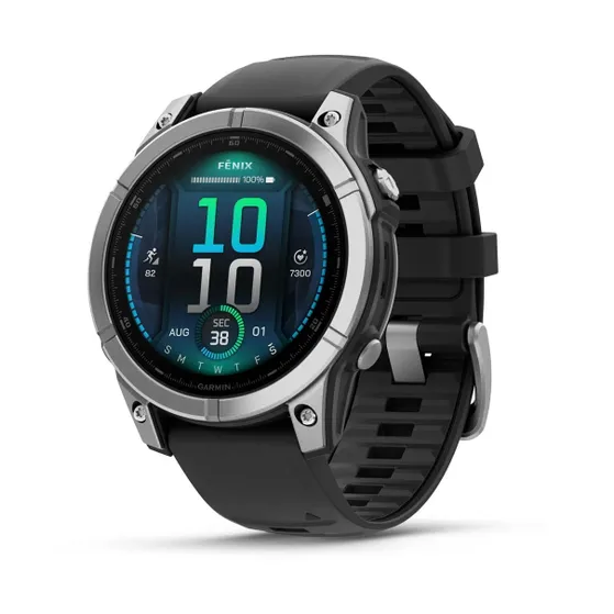 Garmin Fenix E 47mm Rvs