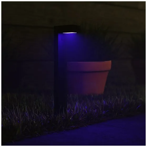 Hombli Smart Pathway Light - Single