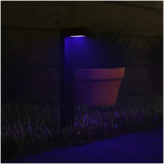 Hombli Smart Pathway Light Starter Kit