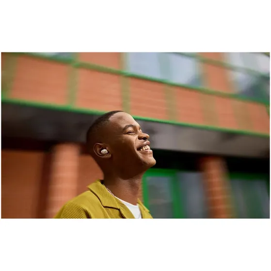 JBL LIVE BUDS 3 Zilver