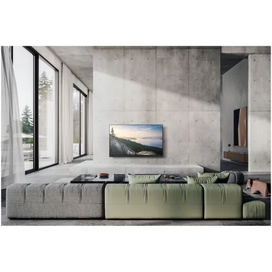 Panasonic TV-65Z95BEG (2025)