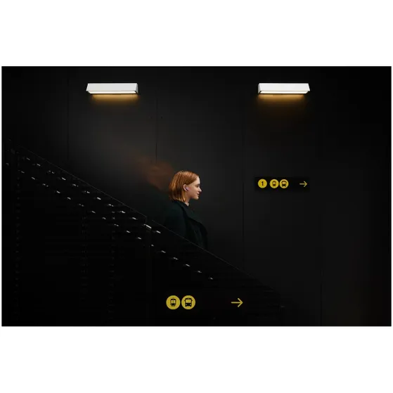 JBL LIVE FLEX 3 Blauw