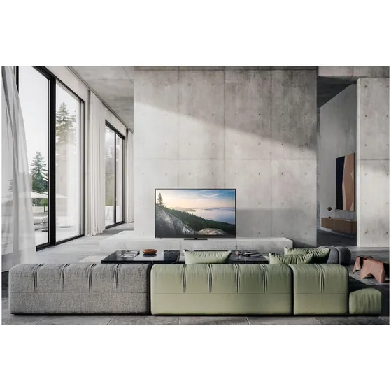 Panasonic TV-77Z90BE6 (2025)