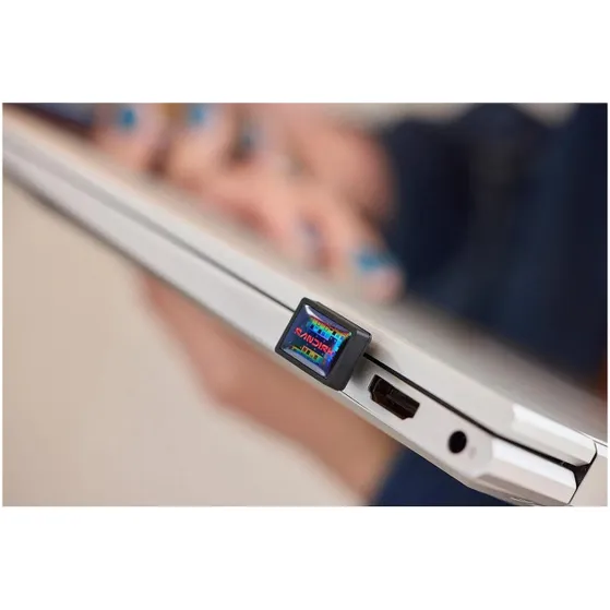 SanDisk SDCZ530-256G-G46 Zwart