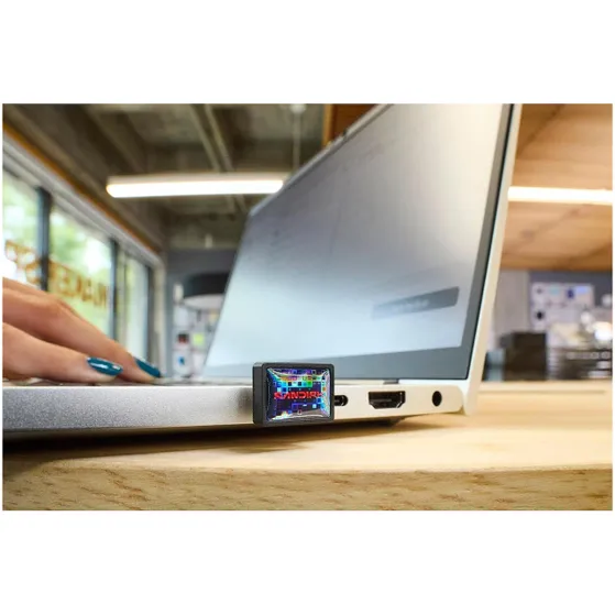 SanDisk SDCZ530-256G-G46 Zwart