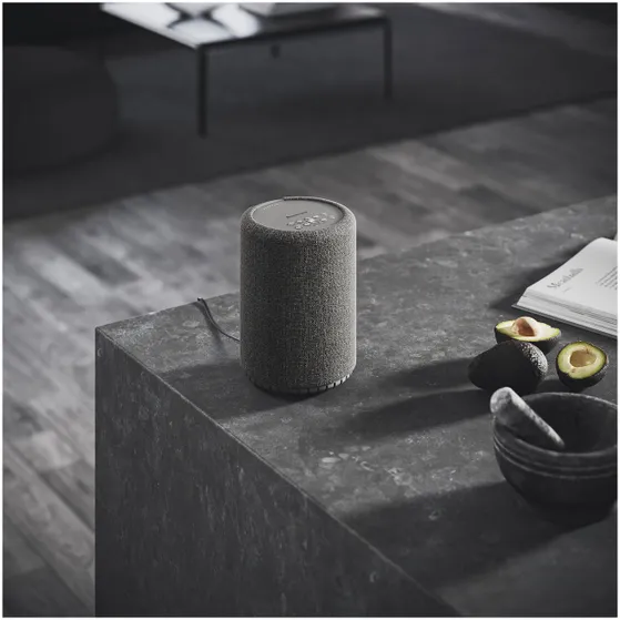 Audio Pro A10 MkII Smart Multiroom Donkergrijs