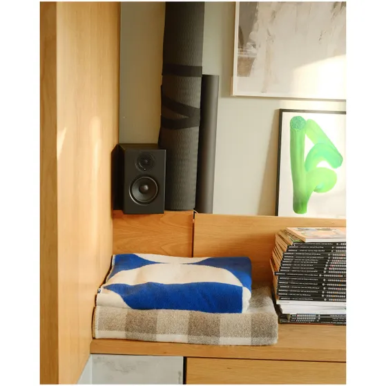 Audio Pro A28 Smart Multiroom Zwart