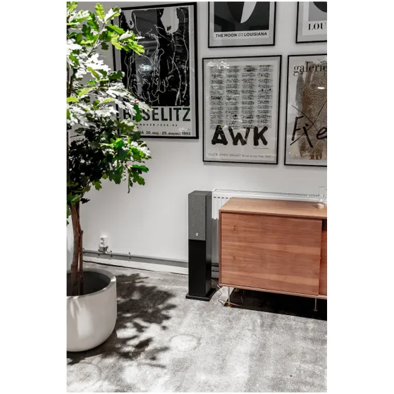 Audio Pro A38 Smart Multiroom Zwart