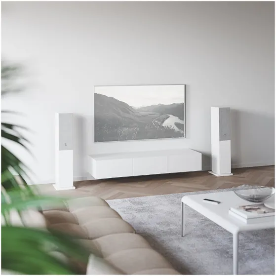 Audio Pro A48 Smart Multiroom Wit