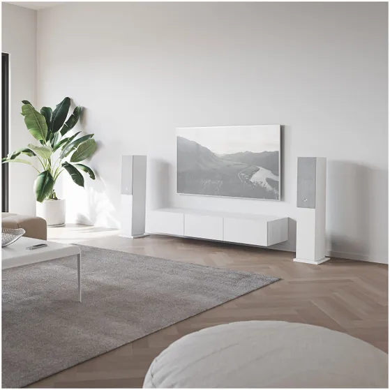 Audio Pro A48 Smart Multiroom Wit