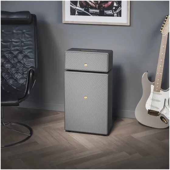 Audio Pro Drumfire II Smart Multiroom Grijs