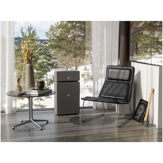 Audio Pro Drumfire II Smart Multiroom Grijs