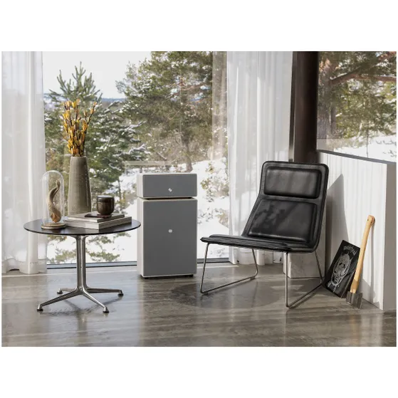 Audio Pro Drumfire II Smart Multiroom Wit