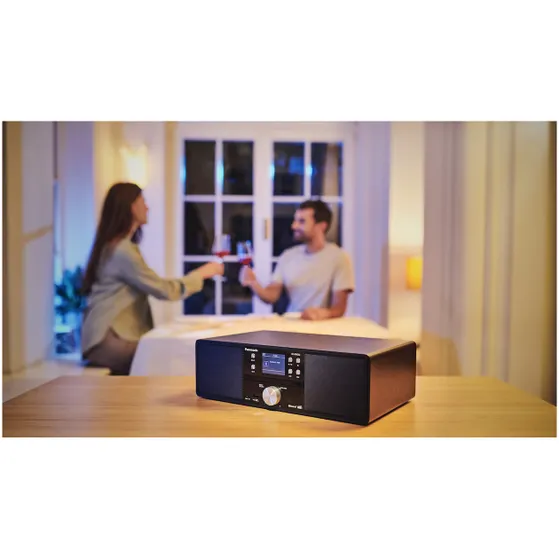 Panasonic SC-DM202EG-K