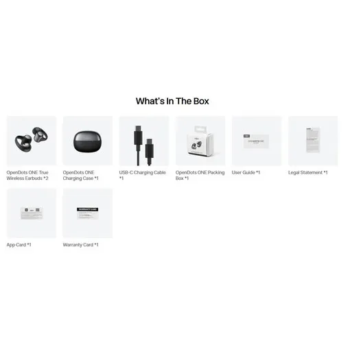 Shokz OpenDots One Grijs